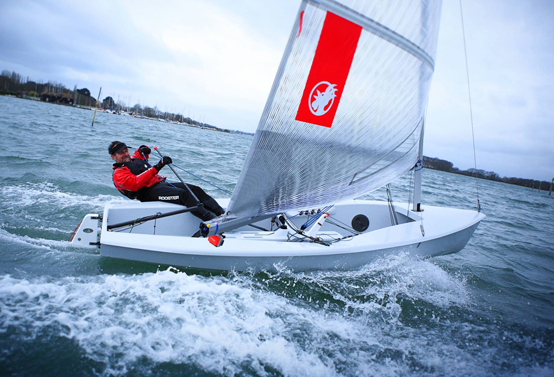 rooster sailing vela