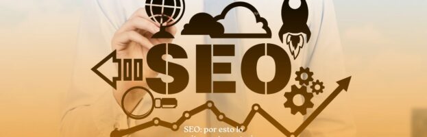 Posicionamiento SEO Logroño: esto hacemos por tu negocio